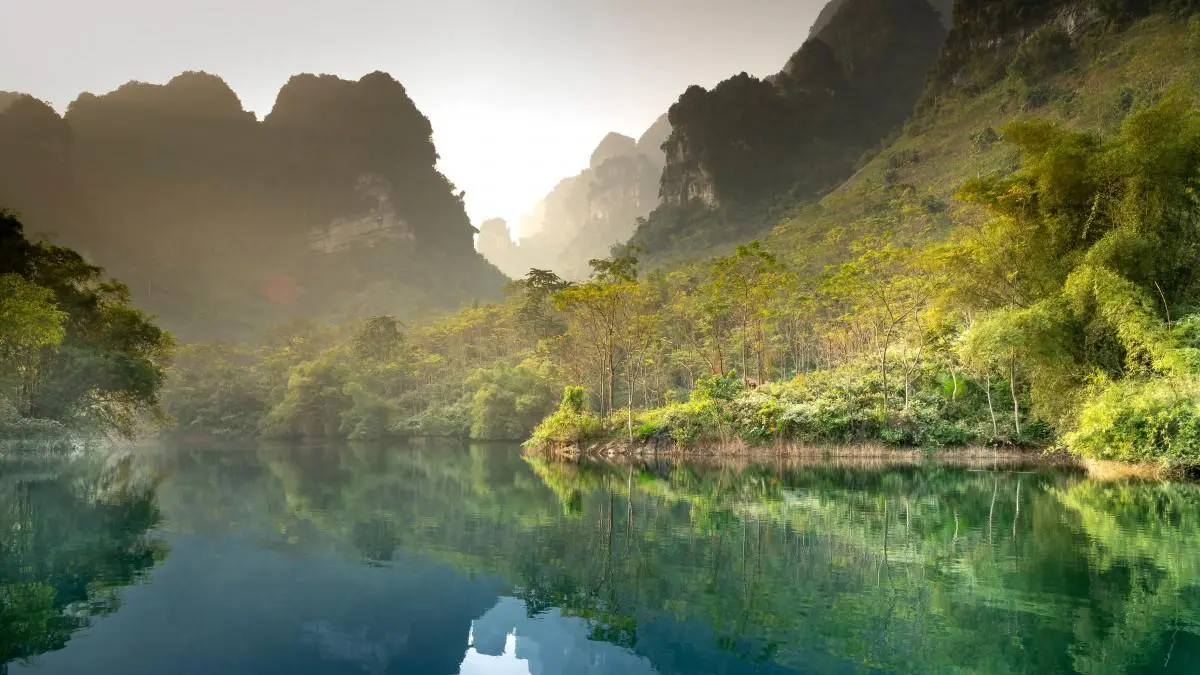 高标准科技高质量
